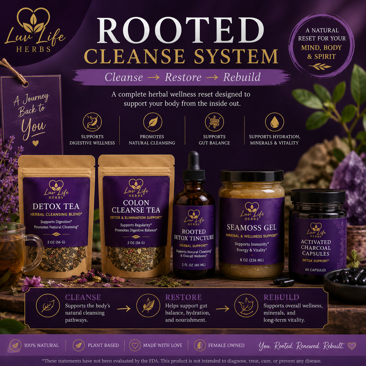 Rooted Cleanse System | Full Body Herbal Wellness Reset