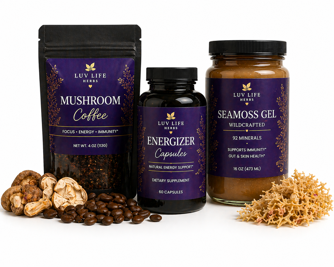 Focus & Energy Bundle | Natural Herbal Support for Energy, Clarity & Mental Performance