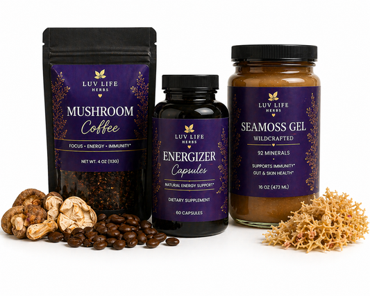 Focus & Energy Bundle | Natural Herbal Support for Energy, Clarity & Mental Performance