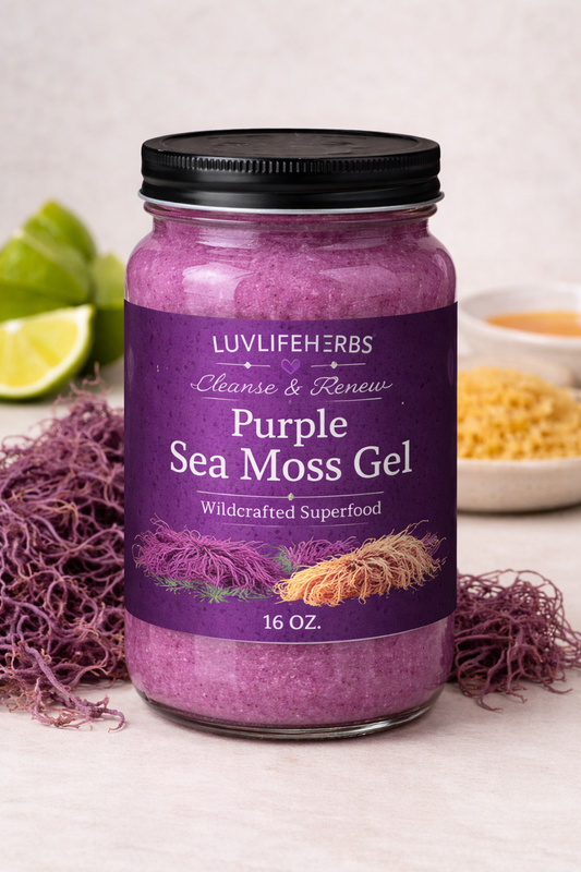 Sea Moss Gel Purple | Wildcrafted Mineral-Rich Superfood for Energy & Immunity