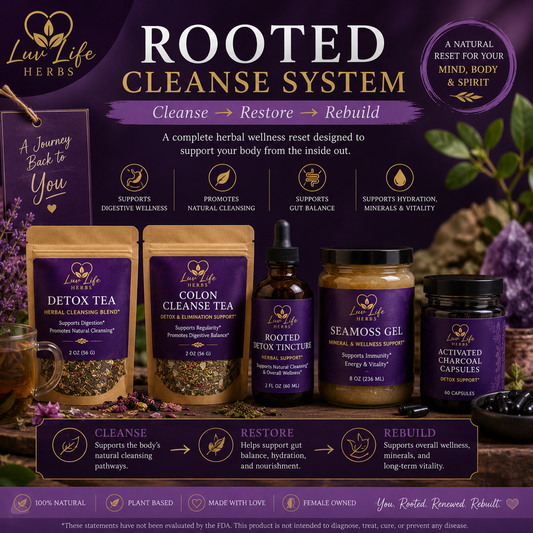 Rooted Cleanse System | Full Body Herbal Wellness Reset